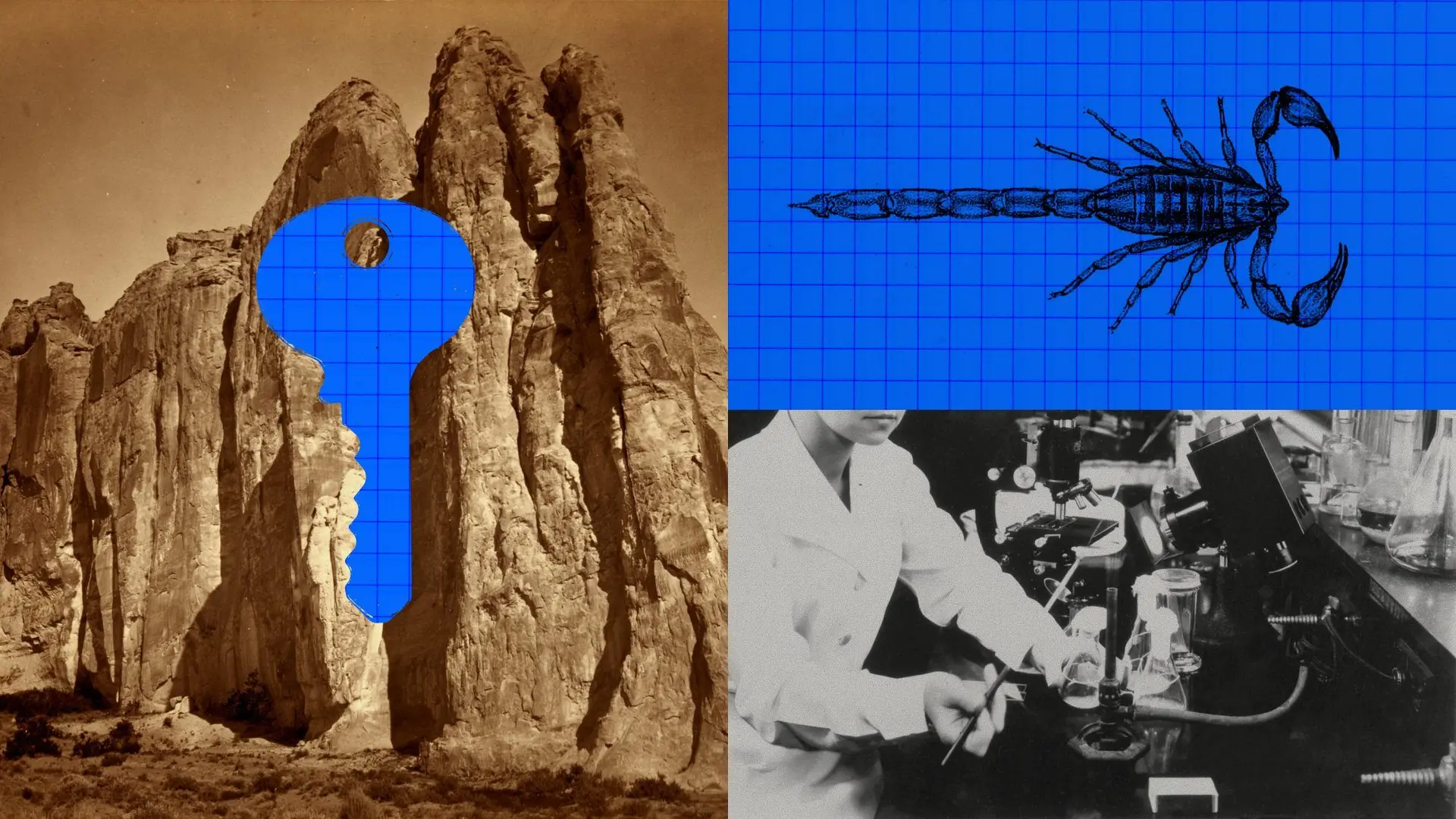 How Claude designed protein binders against scorpion neurotoxins