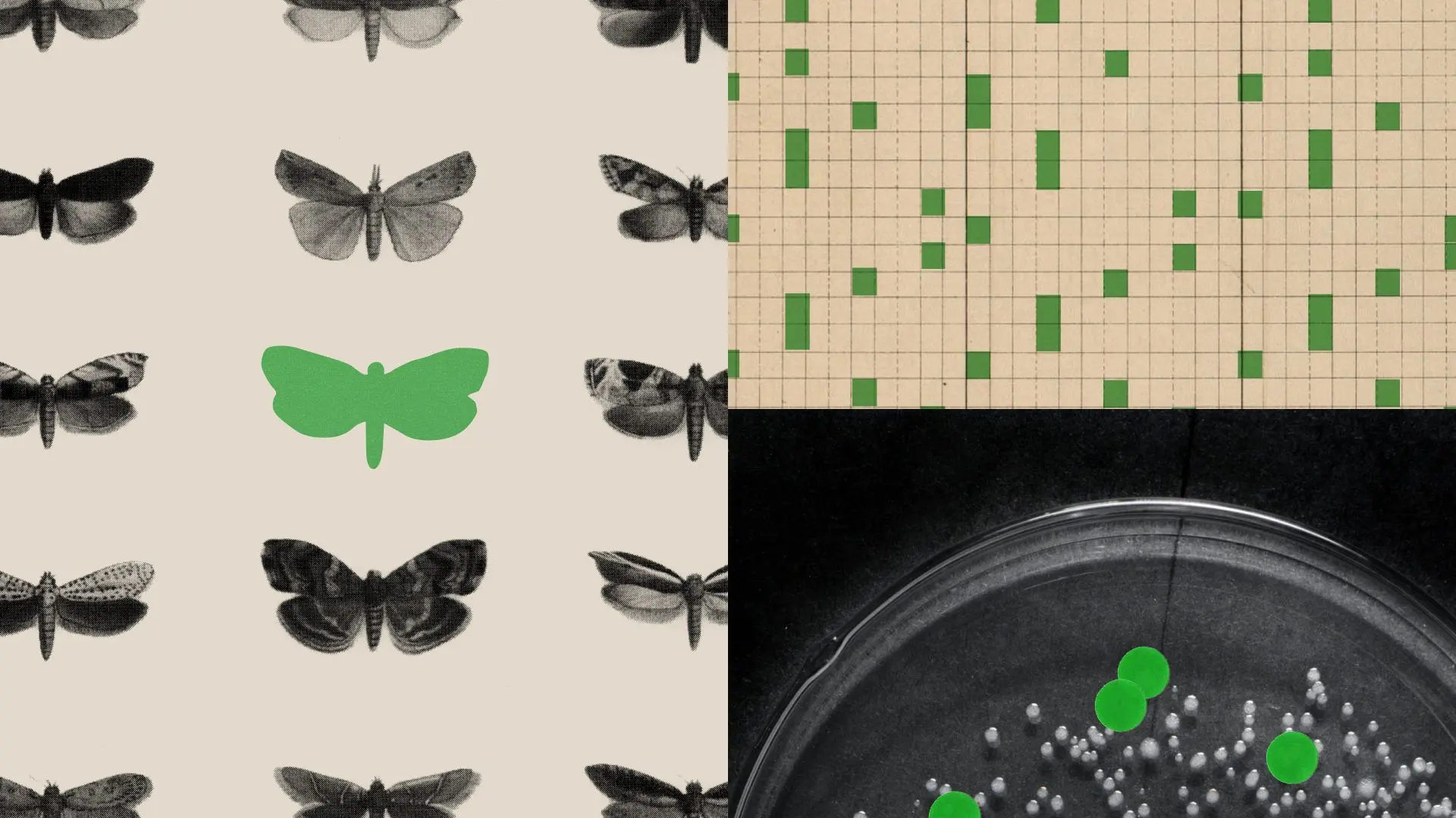 Introducing our Science Blog