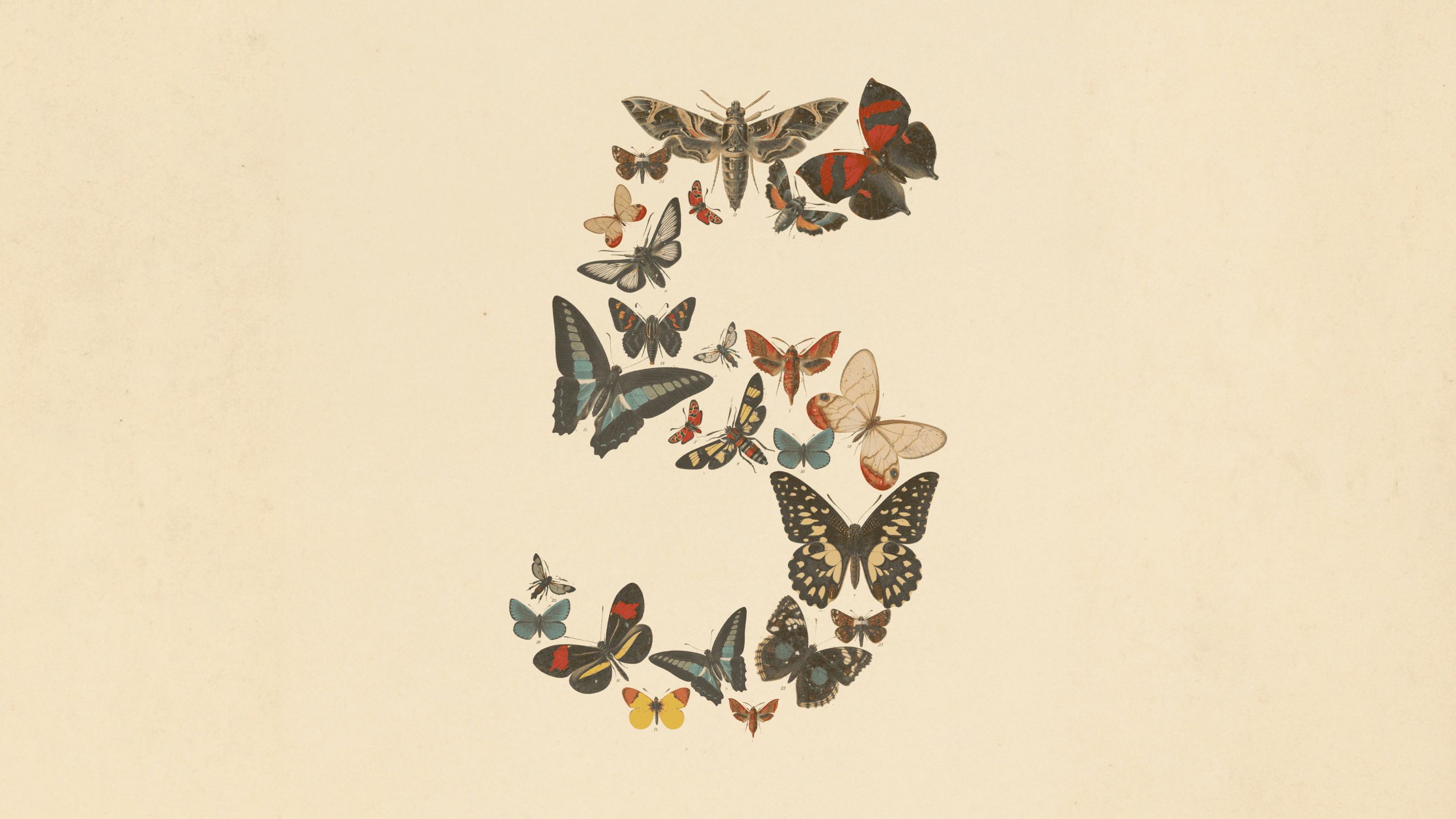 The number five composed of several butterflies